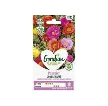 Pourpier Double Varié – Graines Gondian