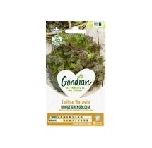 Laitue Batavia Rouge Grenobloise – Graines Gondian
