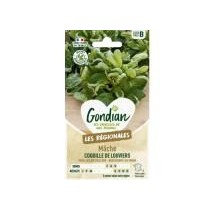 Mâche Coquille de Louviers – Graines Gondian