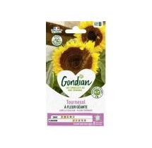 Tournesol Fleur Géante – Graines Gondian