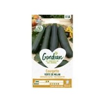 Courgette Verte de Milan – Graines Gondian