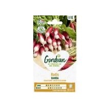 Radis Bamba Demi-Long – Graines Gondian