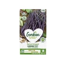 Haricot Carminat Grimpant Violet – Graines Gondian