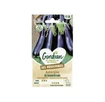 Aubergine Barbentane – Graines Gondian