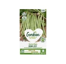 Haricot Oxinel Nain Filet Sans Fil – Graines Gondian