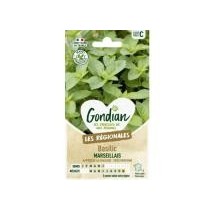 Basilic Marseillais – Graines Gondian