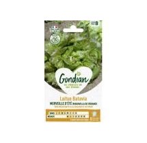 Laitue Batavia Merveille Verano – Graines Gondian