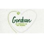 Gondian